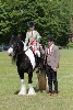 thornton-le-dale-gala showclass7acharity25-5-20251